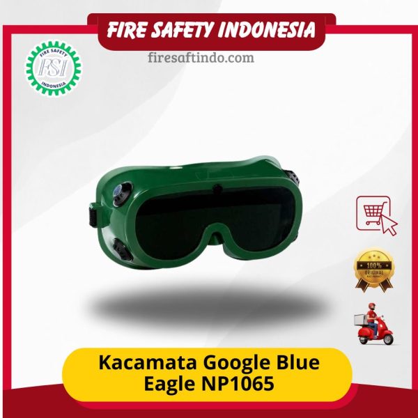 Kacamata Google Blue Eagle NP1065